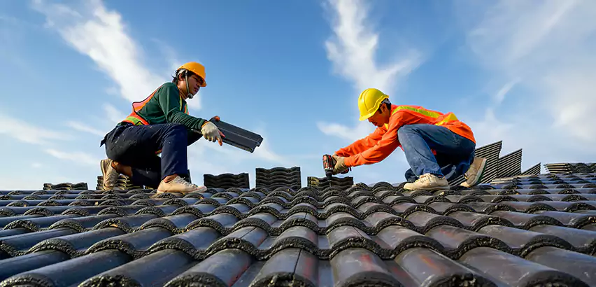 Shed Roof Replacement